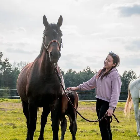 Modern Rancho - Nad Rzeka, Przy Stadninie Koni Affittacamere 3*