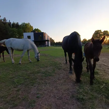 Modern Rancho - Nad Rzeka, Przy Stadninie Koni Pensión