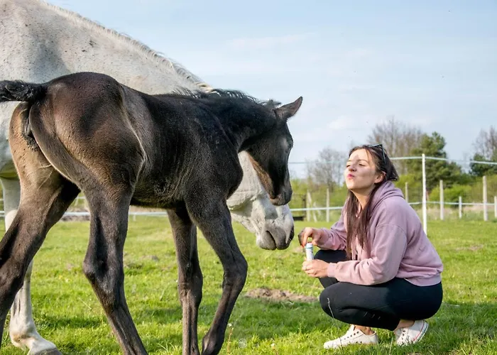 Modern Rancho - Nad Rzeka, Przy Stadninie Koni 3* Kruszyna (Czestochowa)