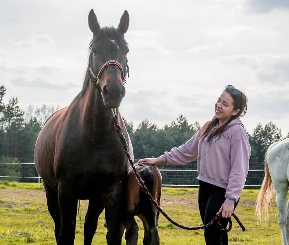 Modern Rancho - Nad Rzeka, Przy Stadninie Koni Гостевой дом 3*
