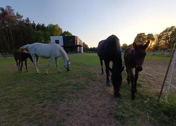 Modern Rancho - Nad Rzeka, Przy Stadninie Koni Гостевой дом